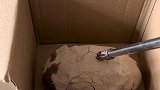 国服典韦的晚餐