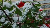 雪花飘飘，兰州的第二场雪