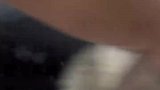 男子给狗狗洗澡，干洗粉倒桌子上使劲搓