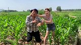 男子苞米地打劫，不料遇到个不正经的美女，太逗了