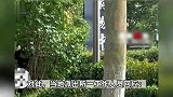 男子公园脱裤对女子做猥亵动作，当事人称附近有很多小学生，警方介入
