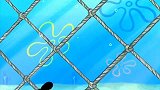 海绵宝宝：海绵宝宝的爸爸妈妈来了，你们见过他们吗