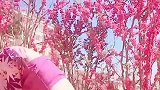 女神室外练习瑜伽，让我去拍照真是开心