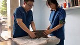 可怜小蓝猫又出状况，愿历经磨难终被温柔对待