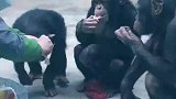 没啥事儿，唠唠家常磕