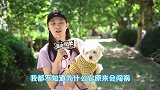 我们有很多情感寄托，但是对于狗子来说你就是它的唯一。