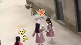 三个小姑娘和狗狗吵架，狗狗一脸委屈不敢吭声