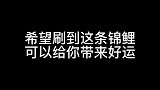 好运锦鲤祝大家逢考必过