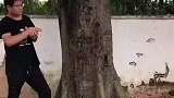 高手在民间，硬生生把树给画没了