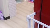 孙胖妞被妲己猪咬了一口，孙胖妞居然就把妲己挂在笼子上睡，好逗