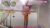爆笑：鱼儿们别怕我不吃你们，我就是来喝口鱼汤的！