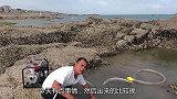 不起眼的5米深坑暗藏玄机，抽到成堆的深海霸主，统统一窝端爽了