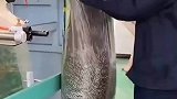 原来瓜子是这样打包的，涨见识了