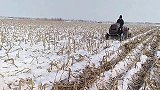 我们这里的第一场大雪，大哥驾驶拖拉机在干什么呢，真是好厉害啊