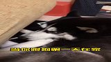 答应我一定要看到最后