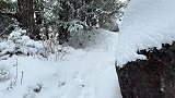 今日立春，尼泊尔安娜普尔娜的雪山木屋很美