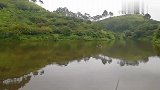 我家的龙眼像蜜糖一样甜，市场价才一块几毛钱一斤，太便宜不卖了