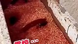 种子里面配药，原来是这样配的