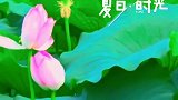 心如莲花香，一路才芬芳。