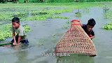小孩想吃肉，用竹笼钓上大鱼，真是太厉害了