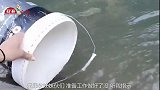 要是我玩这个游戏，后面的女生都不用拉我手呢