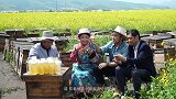《寻味中国》第二十期 青海海北州藏蜜