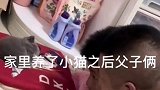 小猫承包了家里所有的快乐