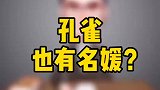 难道孔雀里也有名媛？