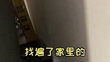 小仓鼠不见之后，被钝钝吃掉的蛋竟然又凭空出现了？！爱宠治愈季 2021新春日记 我的元宵故事 猫