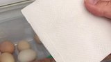 疏通冰箱排污口，防止冰箱积水，发臭，有异味。家电小技巧家电清洗冰箱清洗