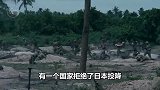 不接受日本投降，踩踏日本国旗，澳大利亚为何如此恨日本