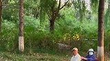 女子公园偶遇一对老夫妻，坐着电动轮椅来公园露营