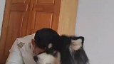 胖胖这怕是有点什么大病吧
