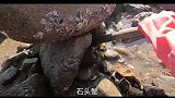 退潮后海边搁浅许多靓货，渔女前去随便捡，还在水坑抓到大海鱼！
