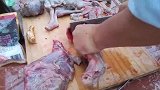 农村小伙花50元买两只羔羊肉，用铁锅一炖，手抓羊腿啃太过瘾