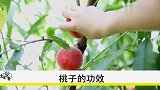 宝宝咳嗽老不好，用它煮水喝，不仅润肺止咳，还促消化助睡眠