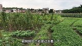 小伙放养的八哥鸟被网网住，还好及时发现救下