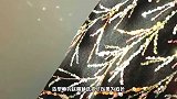 赵丽颖星光大赏造型，三套礼服超惊艳，美若天仙优雅高贵