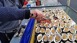 10元买了个教训，挑战吃夜市1元一个的生蚝！