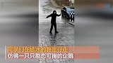 太刺激！延边大学校园摇身一变成冰场 学生只能滑着去上课