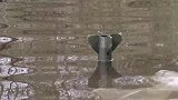 男子钓鱼遇炮弹从天而降被吓跑：偷着钓鱼要被炮弹炸吗