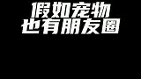 你更喜欢谁呢？