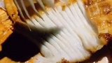 嫩到不敢轻易下筷的“鱼刺”，也是别有一番风味