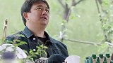 杨紫保护张艺兴偷蛋，黄磊看穿猫腻撮合，张艺兴舍不得杨紫离开