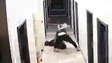 监控曝光！说错一句话，被男友从家里暴打到走廊：拧断你的脖子！