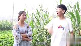 美女相亲问小伙问题，这套路也太深了
