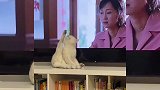 就差那么一点点我就坚持住了