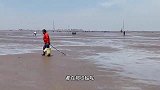 周末赶海，沙滩上的人比海鲜都要多，大春带设备赶海轻松搞到爆桶