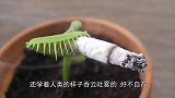 你见过会抽烟的鱼吗？一男子抓了条鱼并让其抽烟，太有画面感