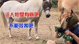搞笑配音：这人怕是有病吧，不能咬我吧？
